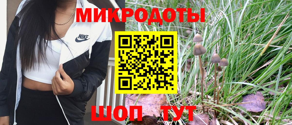 Псилоцибиновые грибы Magic Shrooms  Галлюциногенные грибы Magic Shrooms  Камень-на-Оби  Вход с VPN 