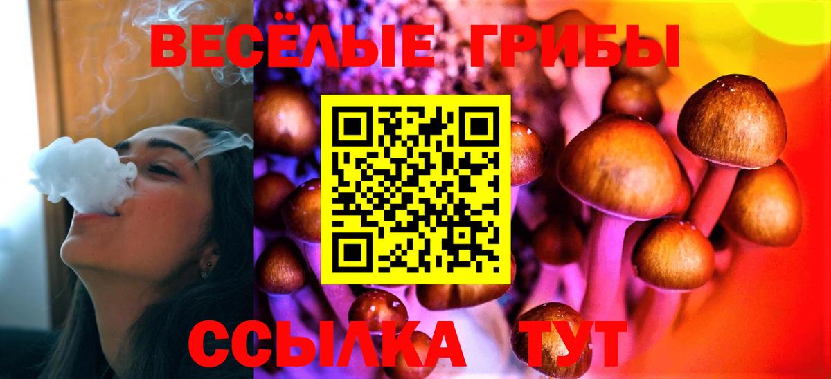 Галлюциногенные грибы Cubensis Камень-на-Оби